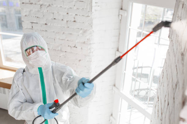 Best Emergency Mold Remediation  in Muscoy, CA