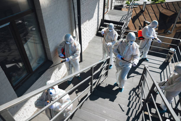 Best Industrial Mold Remediation  in Muscoy, CA