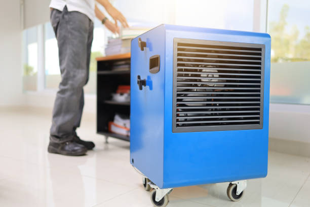 Best Mold Removal for HVAC Installations  in Muscoy, CA