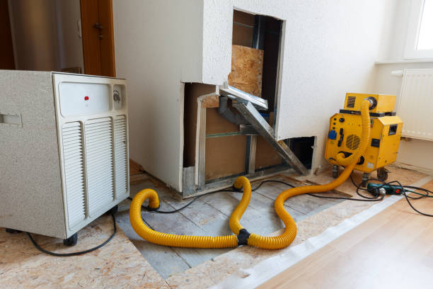 Best Real Estate Mold Inspection  in Muscoy, CA