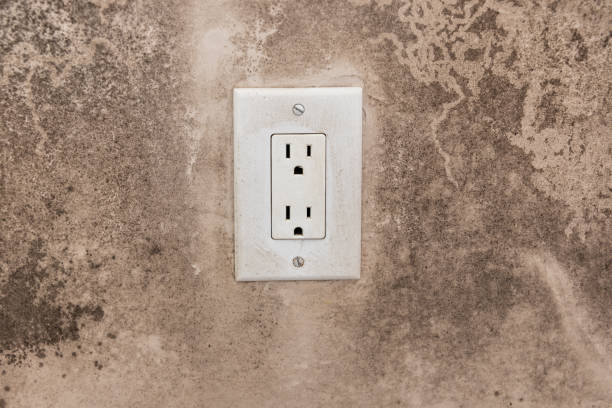 Best Mold Damage Restoration  in Muscoy, CA