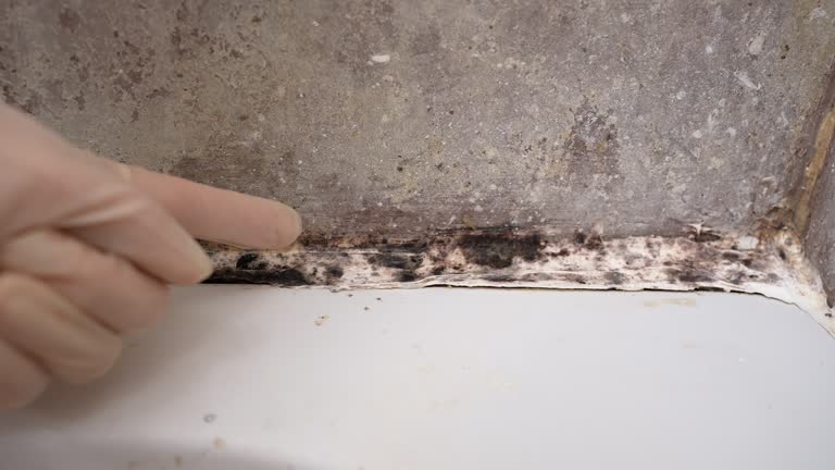 Best Dehumidification Services  in Muscoy, CA