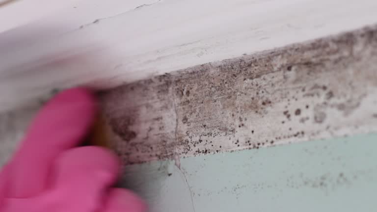 Best Airborne Mold Testing  in Muscoy, CA